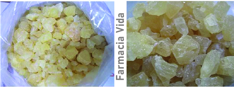 Uno studio comparativo su due catinoni sintetici: 3-MMC (metafedrone) vs. 4-MMC (Mephedrone),Ordina 3-MMC e 4-MMC online senza ricetta